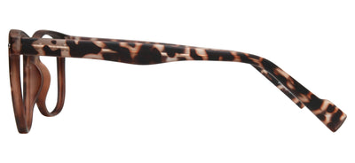 Tortoise