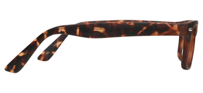 Tortoise